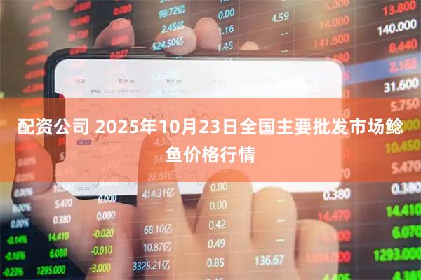 配资公司 2025年10月23日全国主要批发市场鲶鱼价格行情