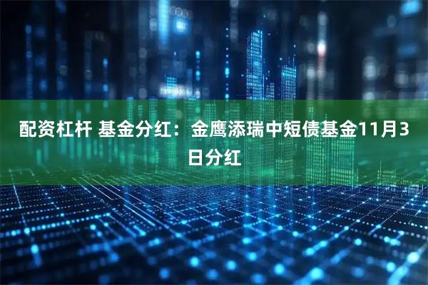 配资杠杆 基金分红：金鹰添瑞中短债基金11月3日分红